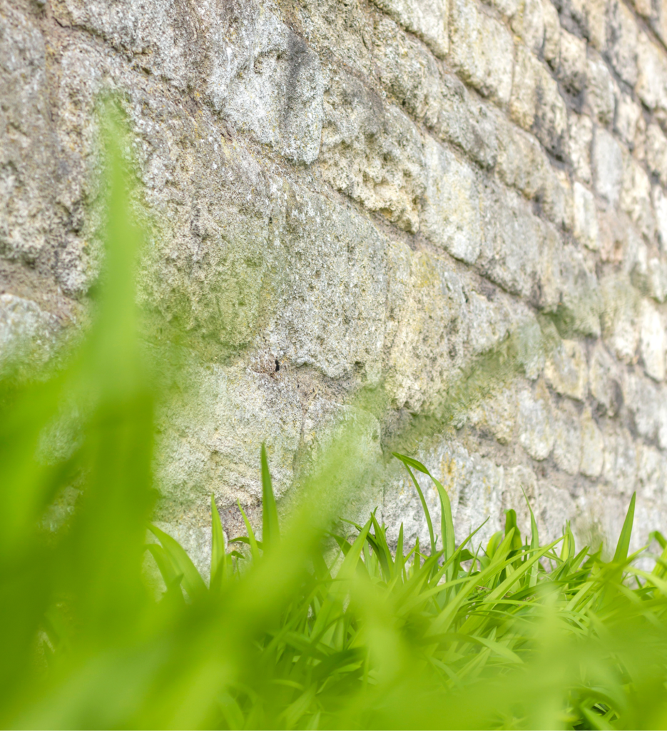 Paysagiste-palau-del-vidre-cote-vermeille-perpignan-66-mur pierre-seche-création-de-jardin-entretien-de-jardin-plantation-de-jardin-Jardinier-entretien-espace-vert-maçonnerie-exterieur-amenageur-entrepreneur-autoentreprise